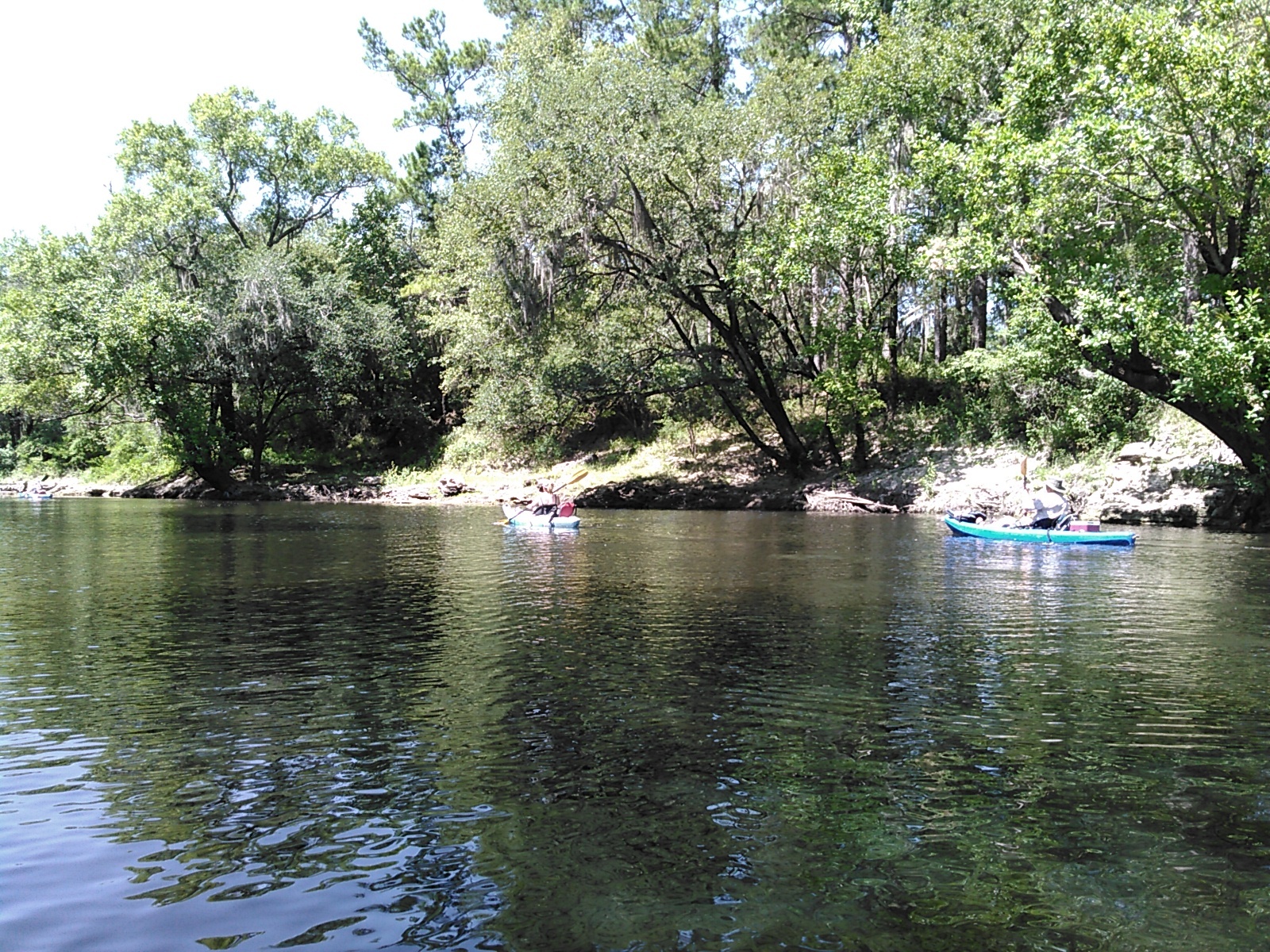 Paddling along 30.6423855, -83.3659973