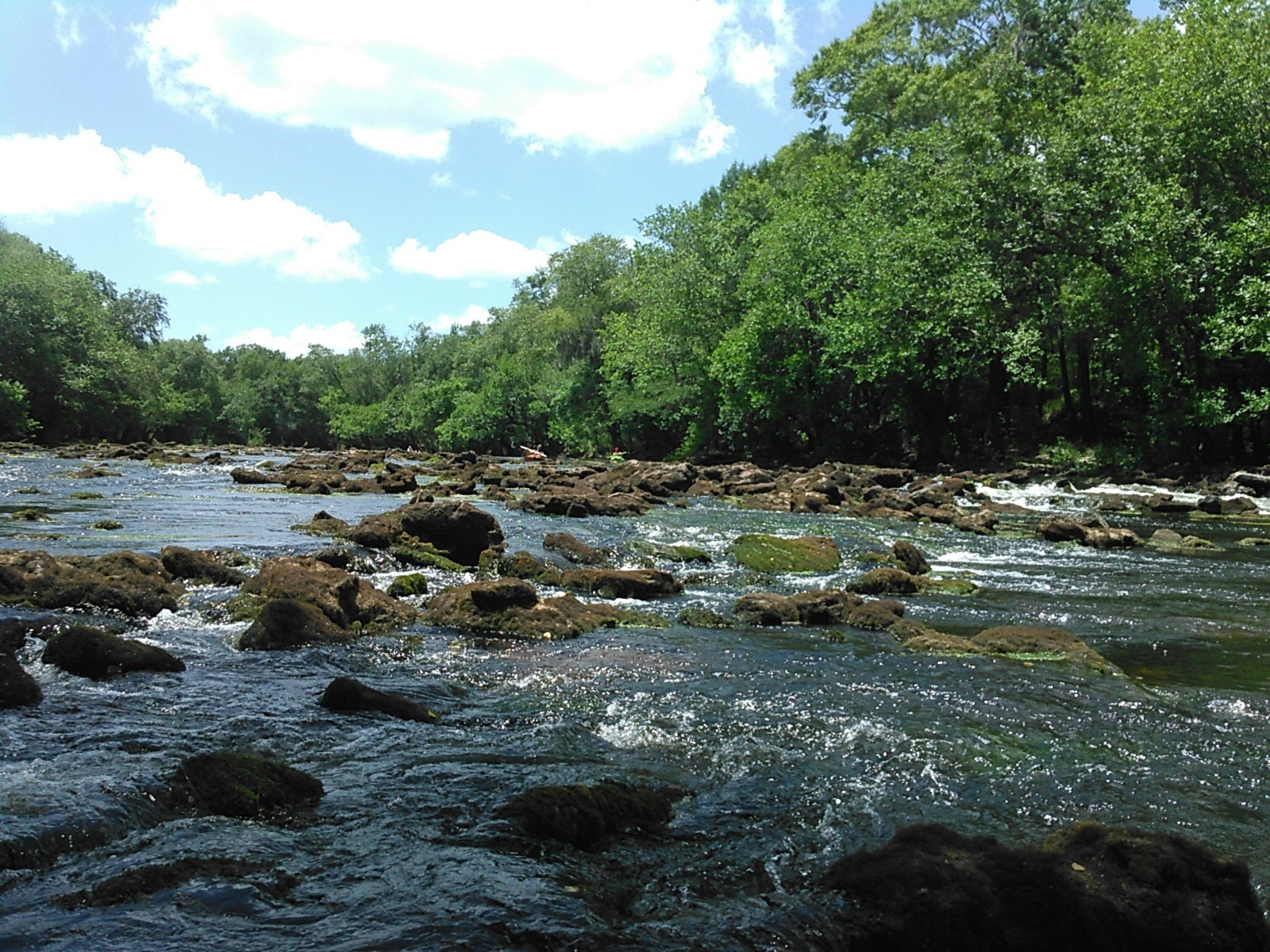 State Line Shoals 30.6345577, -83.3415604