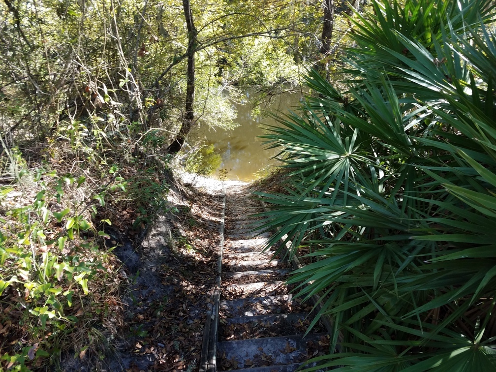 Jennings Bluff Landing, 30.5798842, -83.0392405