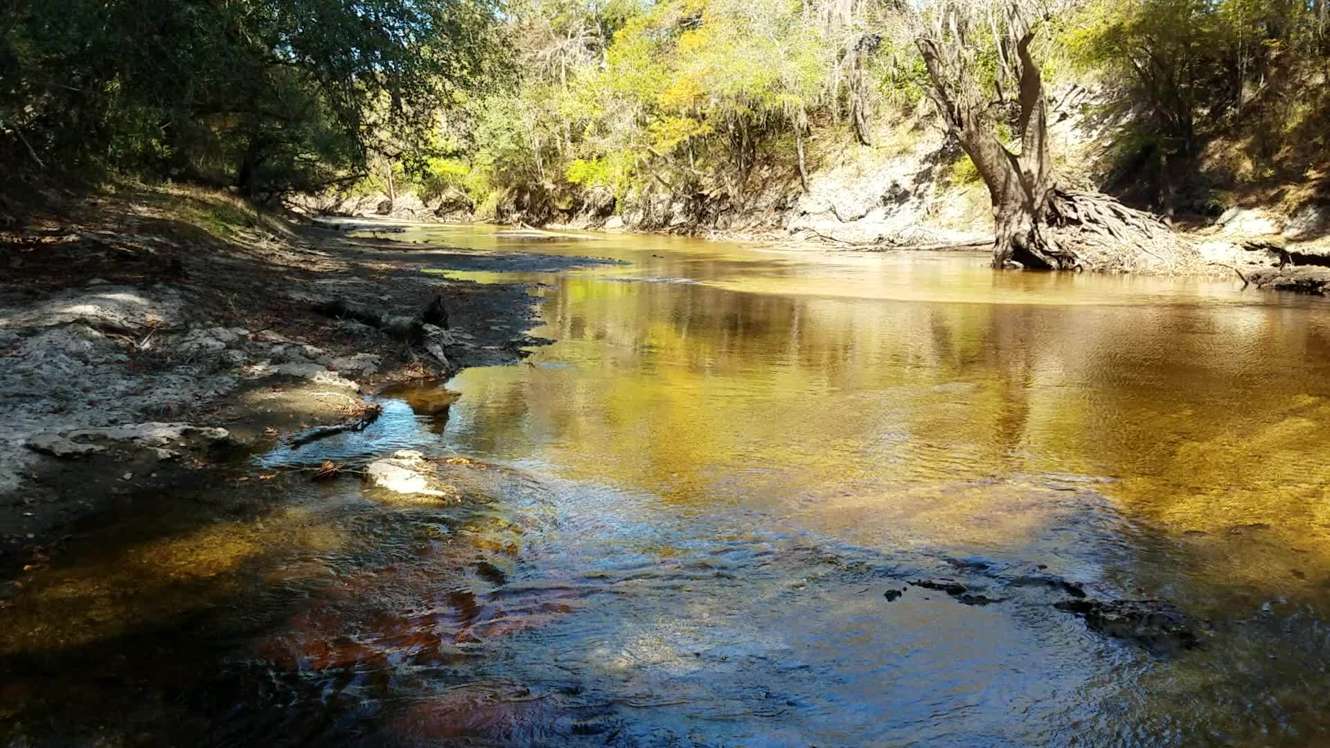 Movie: Alapaha River flowing into the sink (25M), 30.5855189, -83.0528064