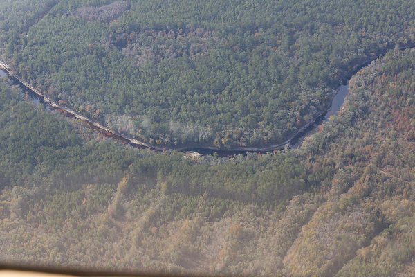 Florida Trail between planted pines and Suwannee River, 30.358690, -82.857069