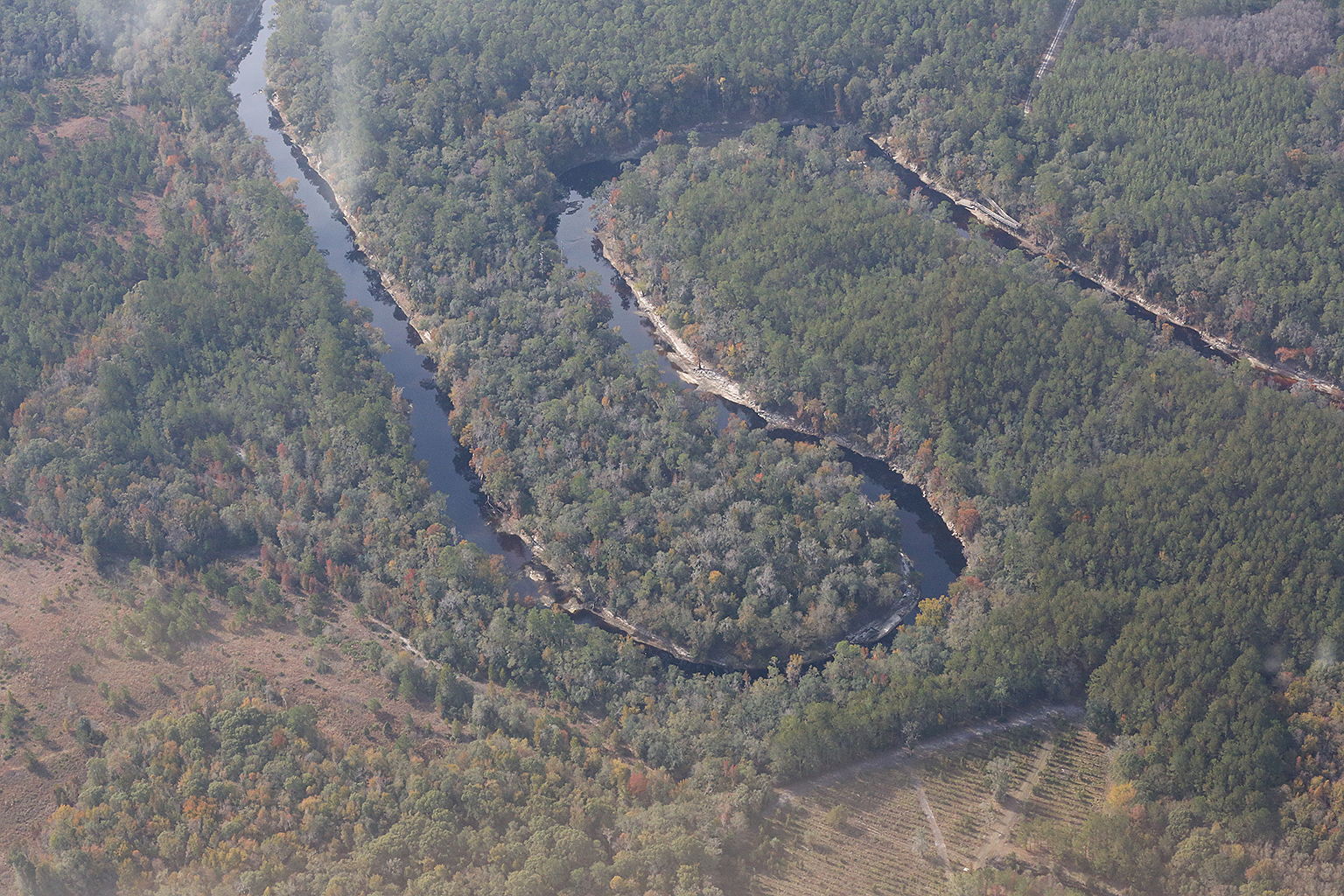 Woods Ferry River Camp, 30.354511, -82.855588