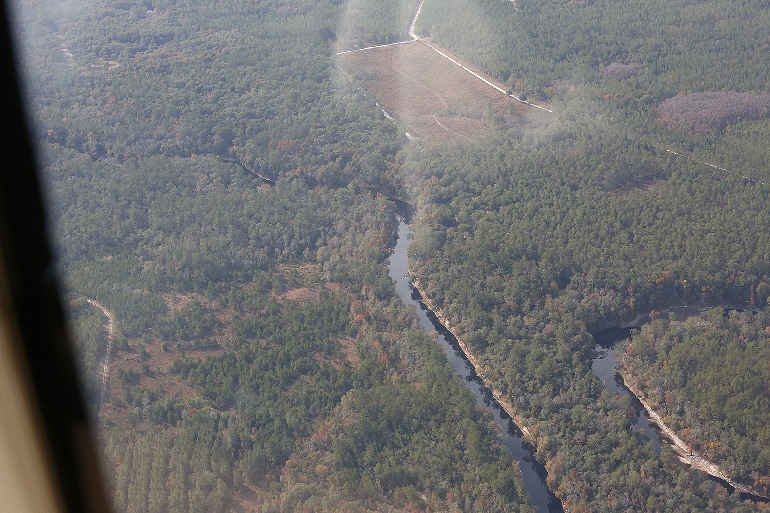 Entrance, Woods Ferry Tract, 30.343354, -82.855180