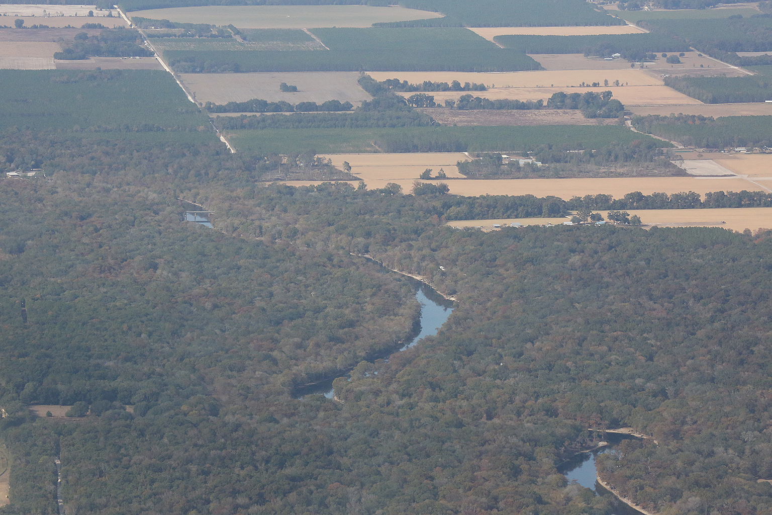 w. to Sabal Trail HDD Santa Fe River, behind trees, 29.909767, -82.830305