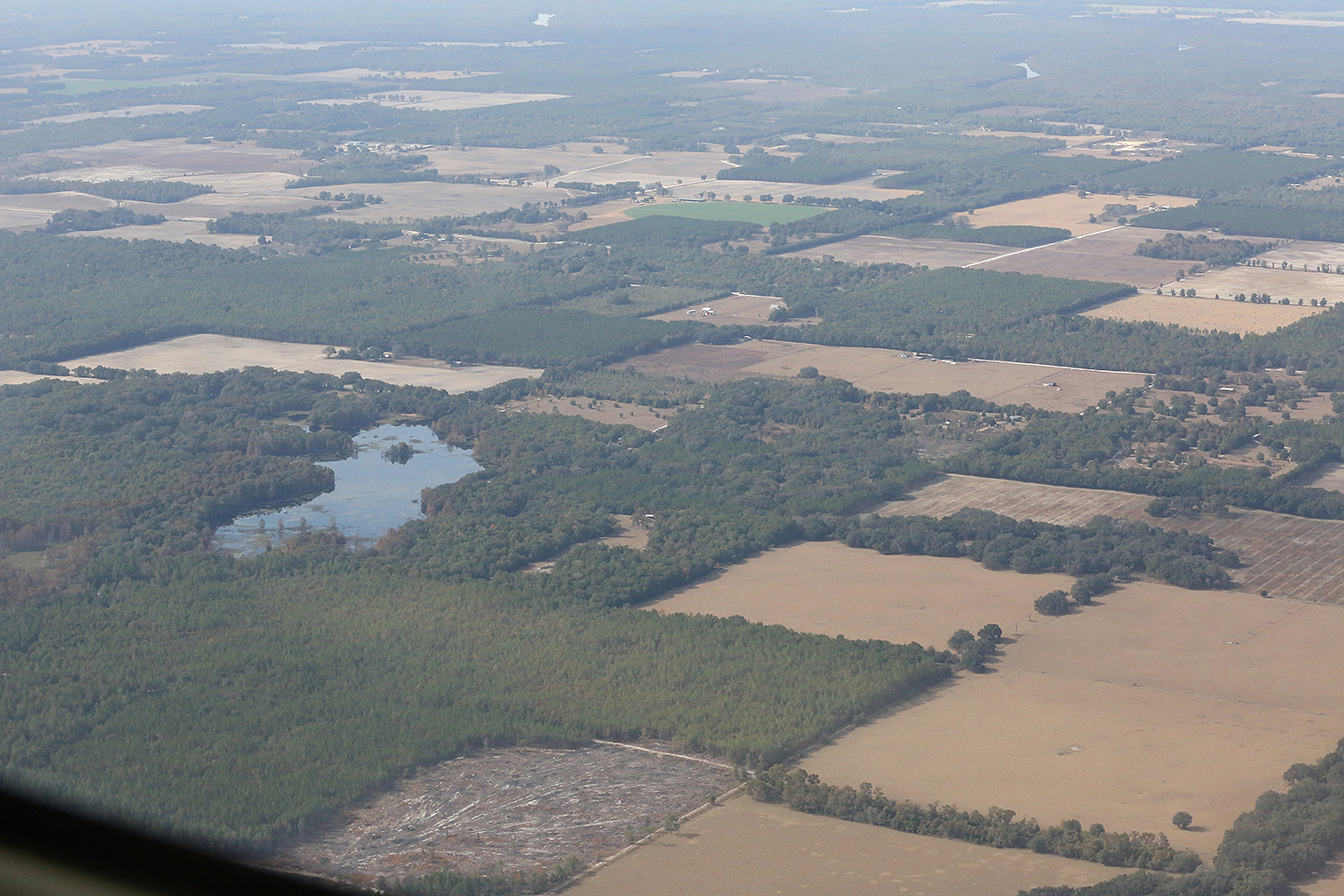 WSW. across Sevenmile Lake to Sabal Trail, Suwannee River, 29.847679, -82.827386