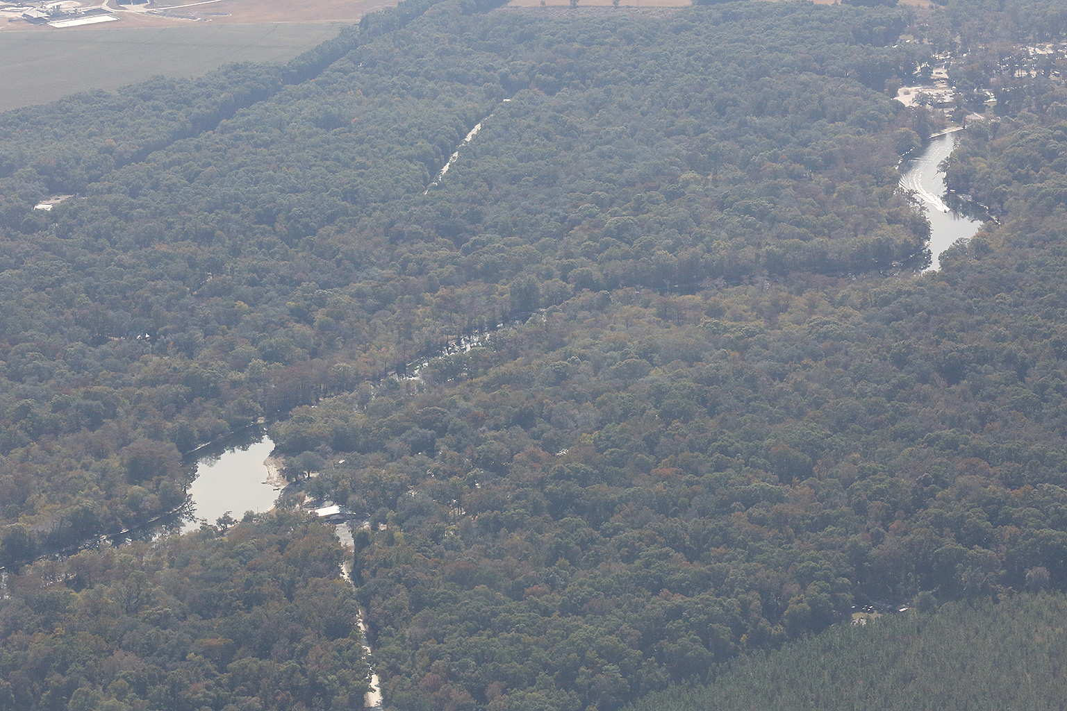 Sandy Point, American Dairy Co., Ellie's RV Resort, 29.911716, -82.866600