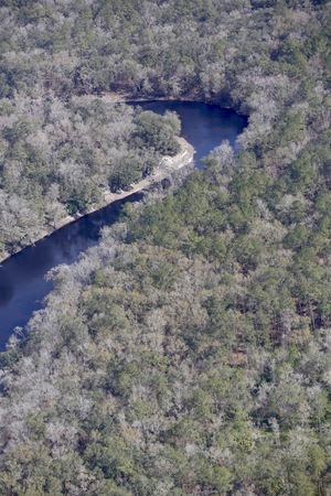 [Upstream to bend in Suwannee River, 30.398556, -83.161058]