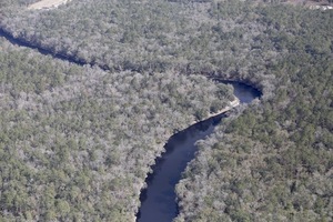 [Upstream to Sabal HDD, Suwannee County, 30.399146, -83.162541]