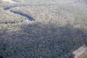 [S. to Sabal Trail HDD, sinkholes of SRSP, Suwannee River, HDD, 30.412374, -83.166893]