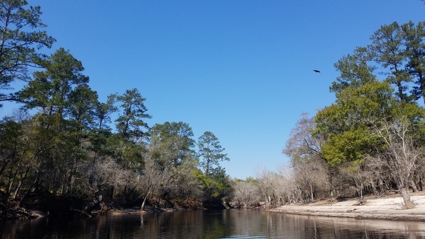 Above boats, 12:21:40, 30.6272595, -82.6494409