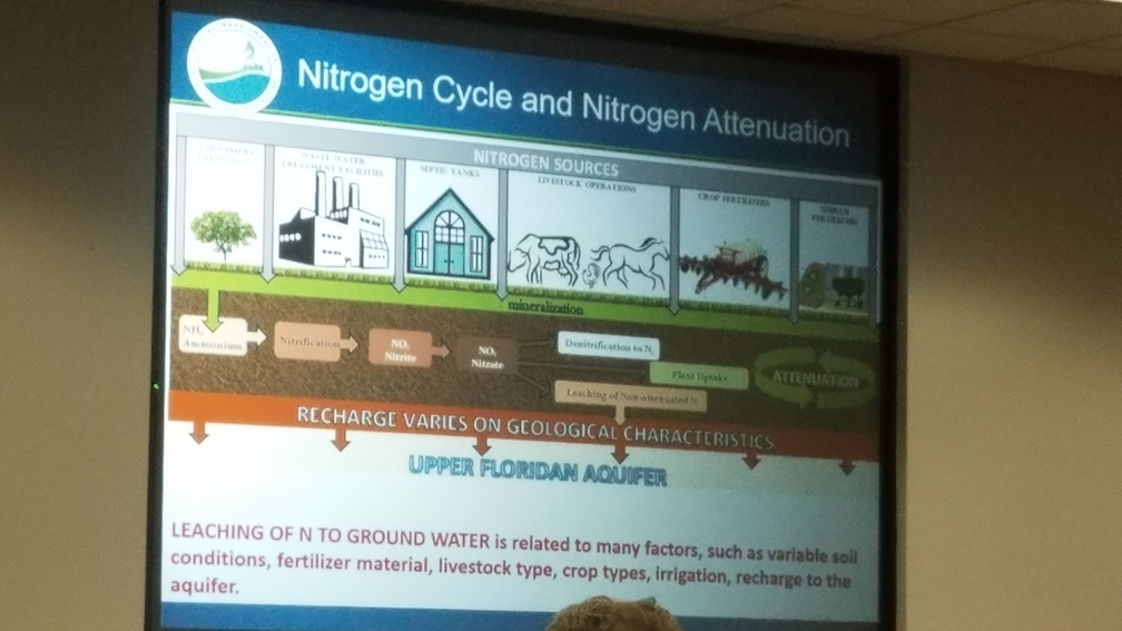 Nitrogen Cycle and Nitrogen Attenuation