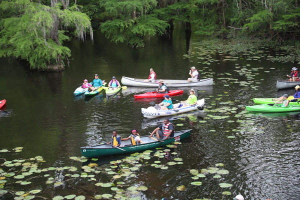 All kinds of boats