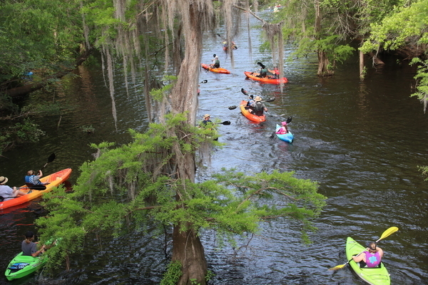 [Under the cypress]