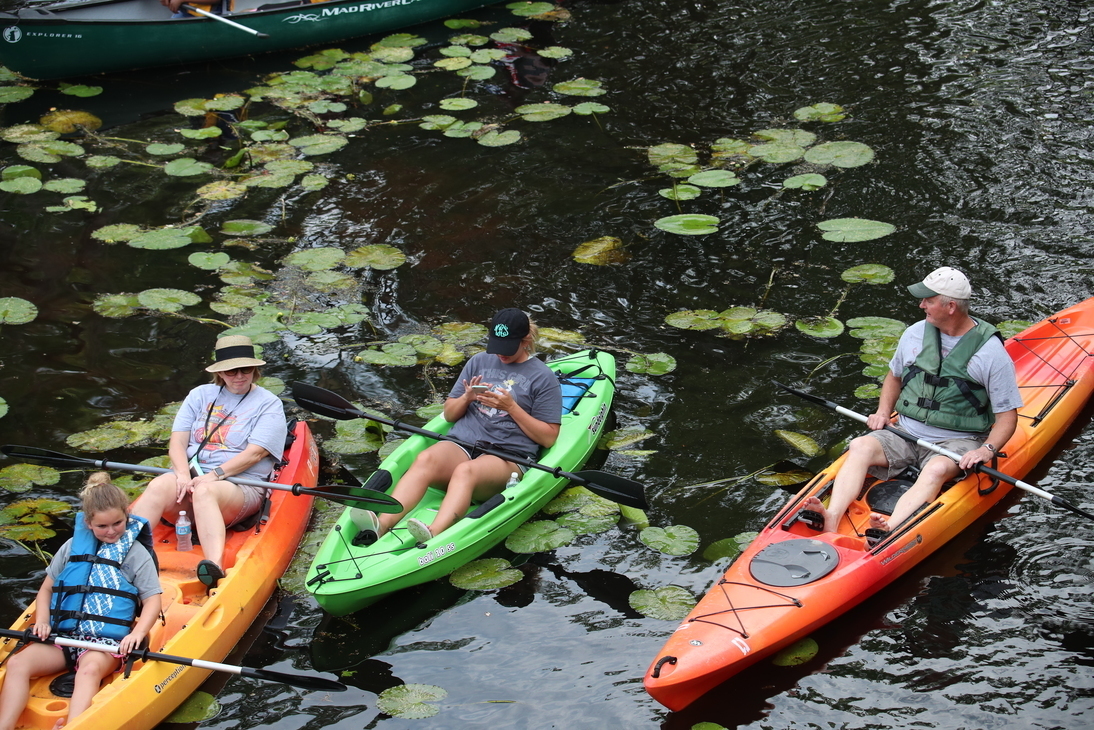 Kayaks and lily pads