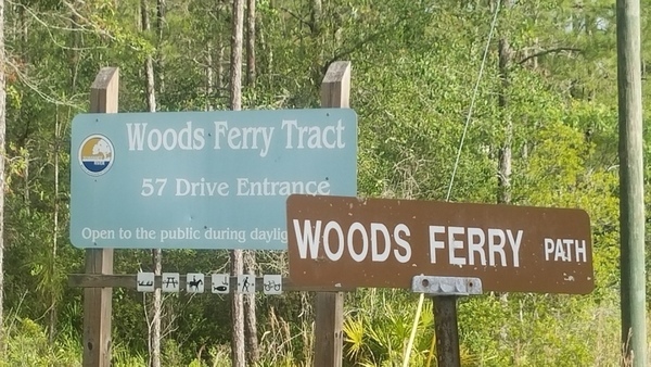 [Woods Ferry Tract 57 Drive Entrance, Woods Ferry Path, 2017:05:20 08:47:21, 30.3433333, -82.8550000 --jsq for WWALS]