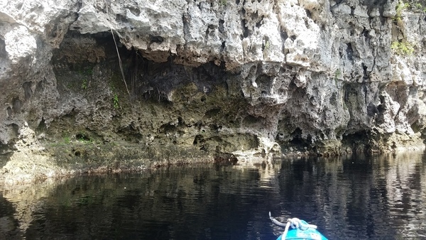 [Undercut cliff, 2017:05:20 11:18:35, 30.3657700, -82.8853200 --jsq for WWALS]