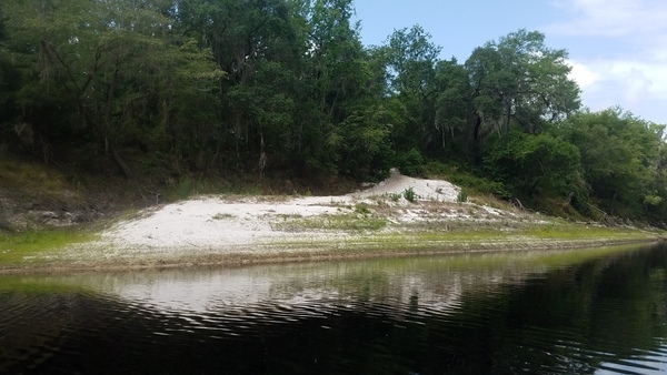 [Access to the river from Camp Branch Conservation Area, 2017:05:20 11:23:41, 30.3671843, -82.8845574 --jsq for WWALS]