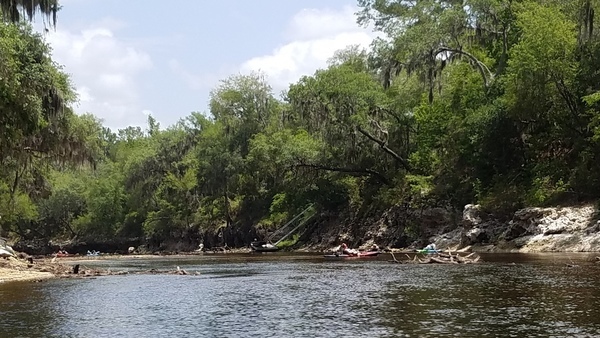 [Boat dock in distance, 2017:05:20 12:51:12, 30.3827480, -82.8904040 --jsq for WWALS]