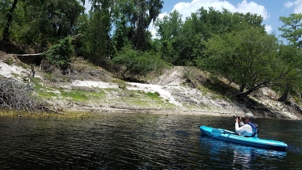 Inquiring minds want to know, below Hamilton Tract Creek, 2017:05:20 14:07:12, 30.3862000, -82.9056800 --jsq for WWALS