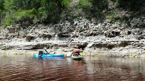 [Movie: Does it smell like snake? Sulfur spring, Ham1019971, 4th Mag., 2017:05:20 15:01:33, 30.390171, -82.926832, --jsq for WWALS]