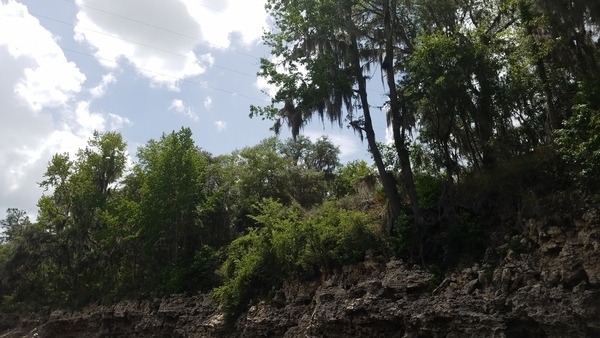 Power line, Hamilton County, SRWMD parcel 2752-000, 2017:05:20 15:05:47, 30.3912400, -82.9283900 --jsq for WWALS