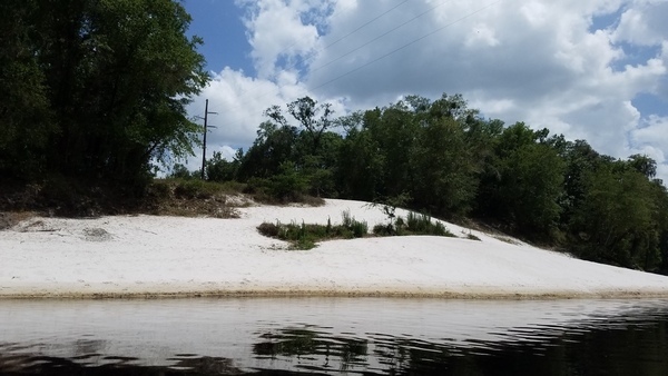 [Duke Energy Jasper Power Line, Suwannee County, 2017:05:20 15:05:52, 30.3910100, -82.9282600 --jsq for WWALS]