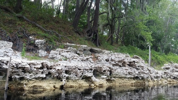 More level markers, 2017:05:20 15:19:59, 30.3923800, -82.9325889 --jsq for WWALS