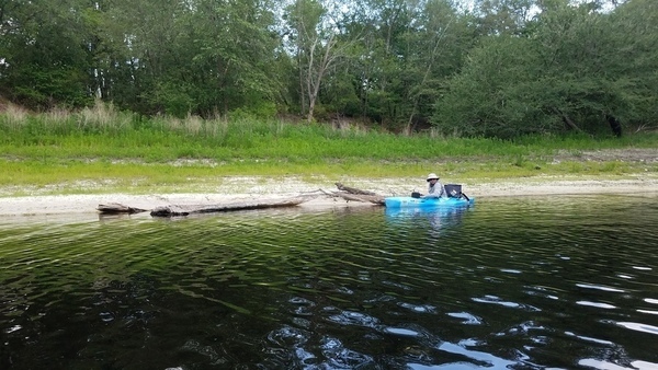 [Driftwood, 2017:05:20 15:22:45, 30.3947319, -82.9326108 --jsq for WWALS]