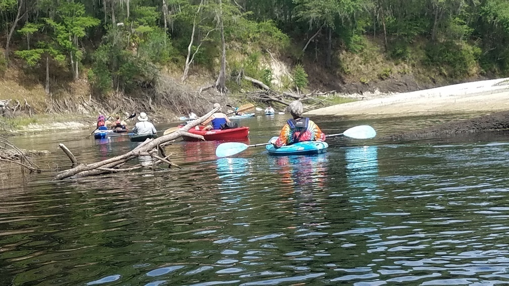 Deadfalls, 2017:05:20 10:30:47, 30.3609600, -82.8712200 --jsq for WWALS
