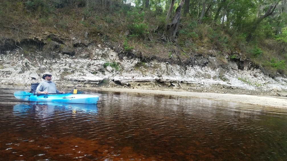 Scotti Jay, and can we say karst?, 2017:05:20 10:52:59, 30.3660100, -82.8732600 --jsq for WWALS