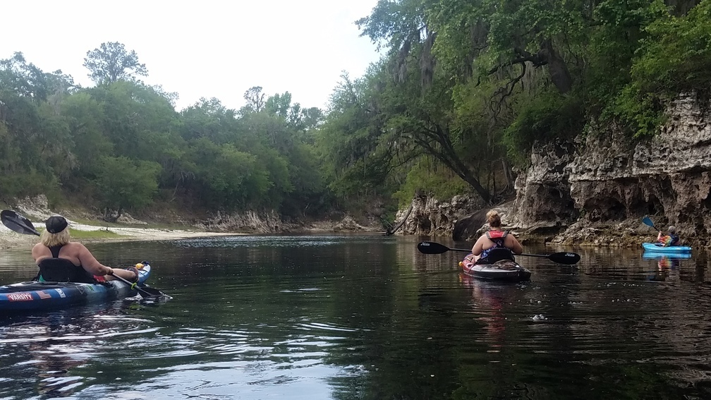 Limestone cliff, 2017:05:20 11:05:30, 30.3672600, -82.8797200 --jsq for WWALS