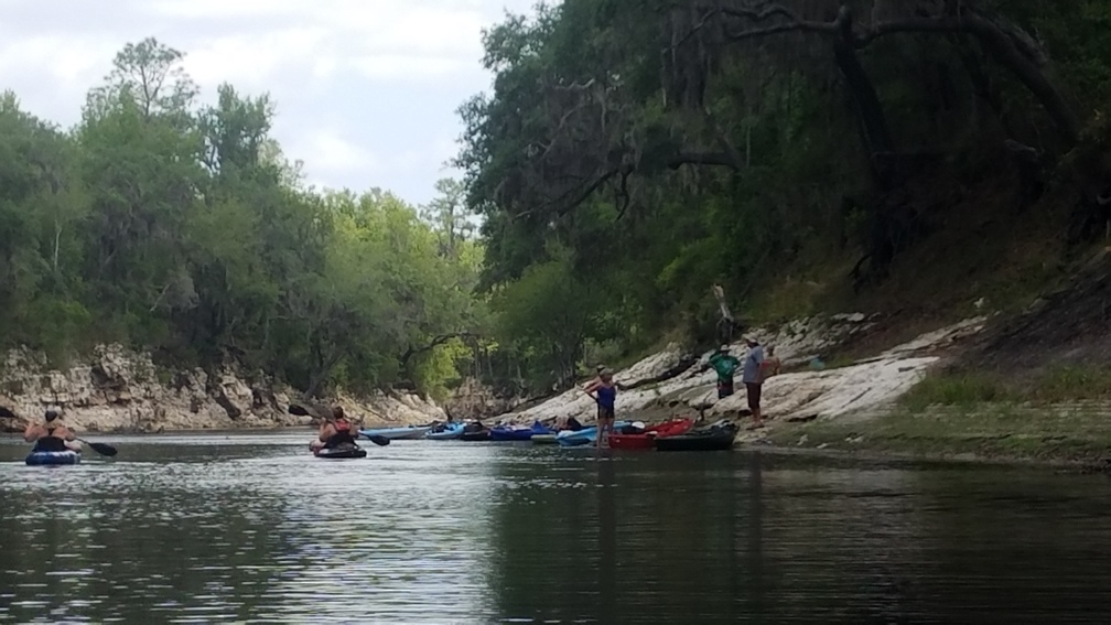 Must be something on the bank, 2017:05:20 11:32:43, 30.3686100, -82.8881800 --jsq for WWALS