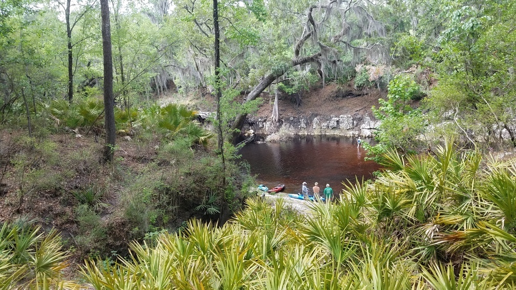 Down Camp Branch, 2017:05:20 11:40:50, 30.3695200, -82.8885500 --jsq for WWALS