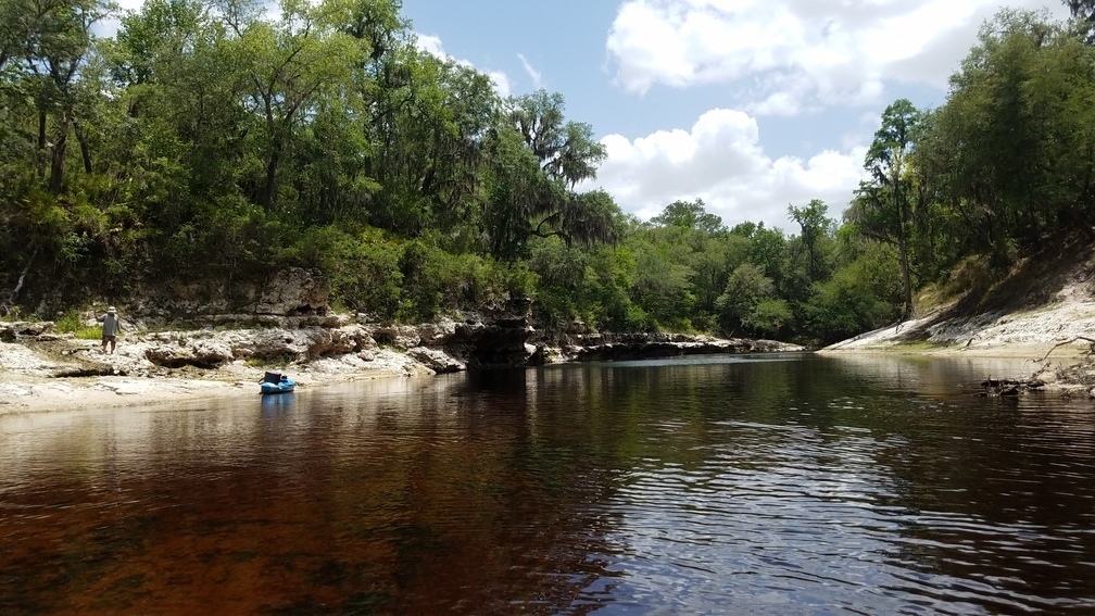 Can't tell, 2017:05:20 13:03:21, 30.3865044, -82.8899418 --jsq for WWALS