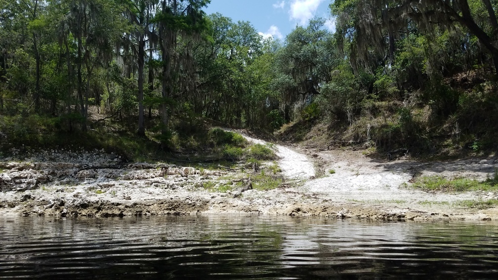 Landing, Sugar Creek Tract, 2017:05:20 14:03:21, 30.3877380, -82.9065767 --jsq for WWALS