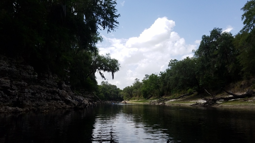 Below 91st Drive, 2017:05:20 15:13:35, 30.3906341, -82.9316863 --jsq for WWALS