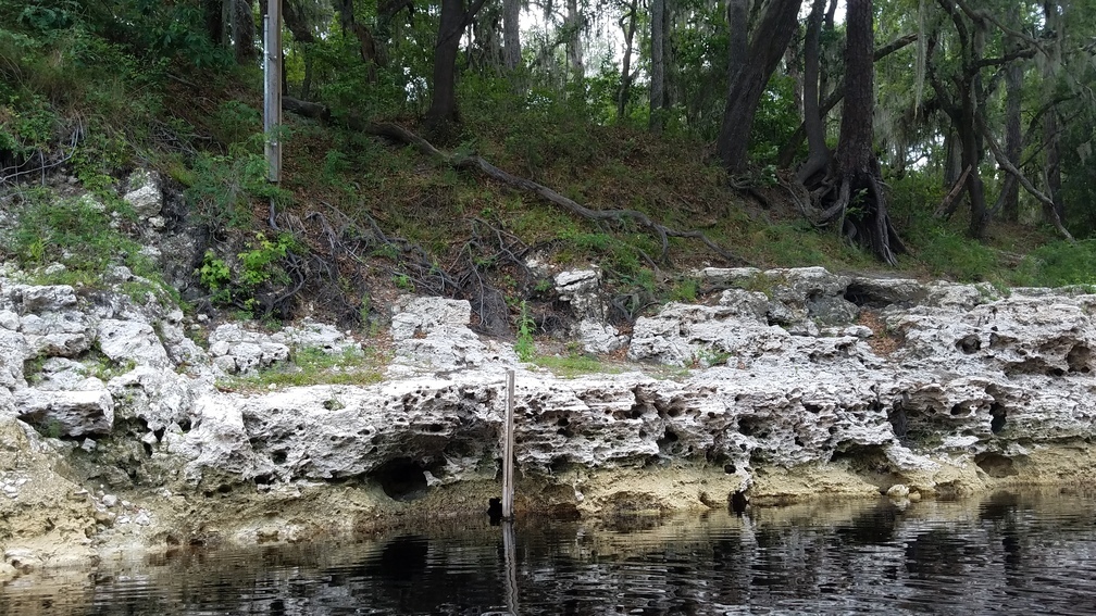 Level markers, 2017:05:20 15:19:56, 30.3923800, -82.9325889 --jsq for WWALS