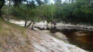 [Downstream towards the Landing, 2017:05:20 10:19:59, 30.3621300, -82.8683800 --jsq for WWALS]