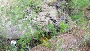 [Above Camp Branch, 2017:05:20 11:43:09, 30.3694000, -82.8884500 --jsq for WWALS]