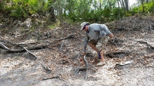 [Climbing down, 2017:05:20 11:47:43, 30.3693300, -82.8884600 --jsq for WWALS]