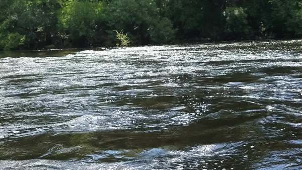 Movie: White water (37M), 30.58422, -83.26197