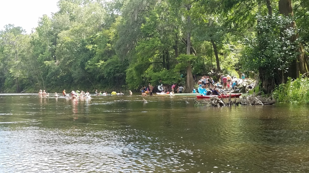 Saturday crowd at Madison Blue Spring, 30.48115, -83.24359