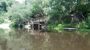 [Slanting dock with stairs, 30.5878, -83.25712]