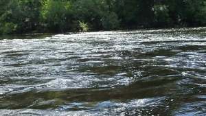 [Movie: White water (37M), 30.58422, -83.26197]