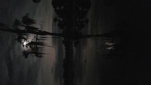 [Cypress eclipsing full moon]