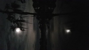 [Cypress holding full moon]