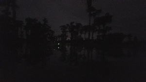 [Something lighted that way lies]