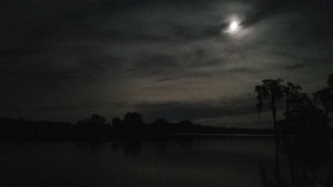 [Moon sliding up the sky]