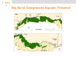 Big Bend Seagrasses Aquatic Preserve