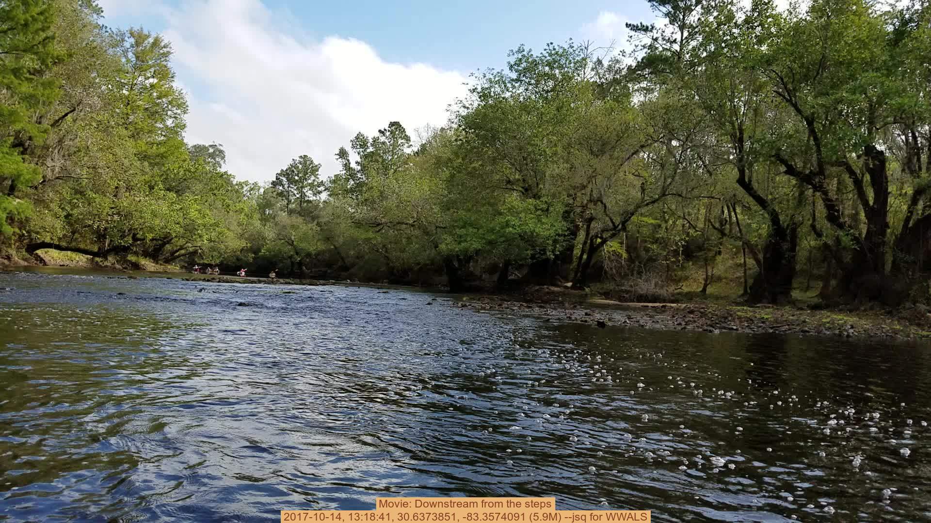 Movie: Downstream from the steps, 2017-10-14, 13:18:41, 30.6373851, -83.3574091 (5.9M) --jsq for WWALS